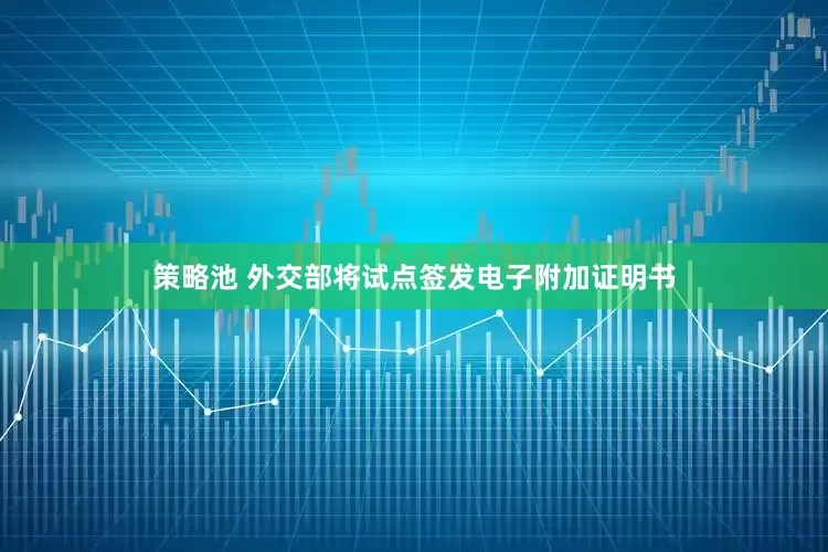 策略池 外交部将试点签发电子附加证明书