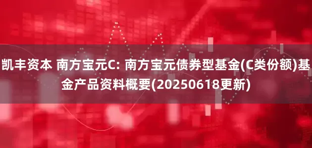 凯丰资本 南方宝元C: 南方宝元债券型基金(C类份额)基金产品资料概要(20250618更新)
