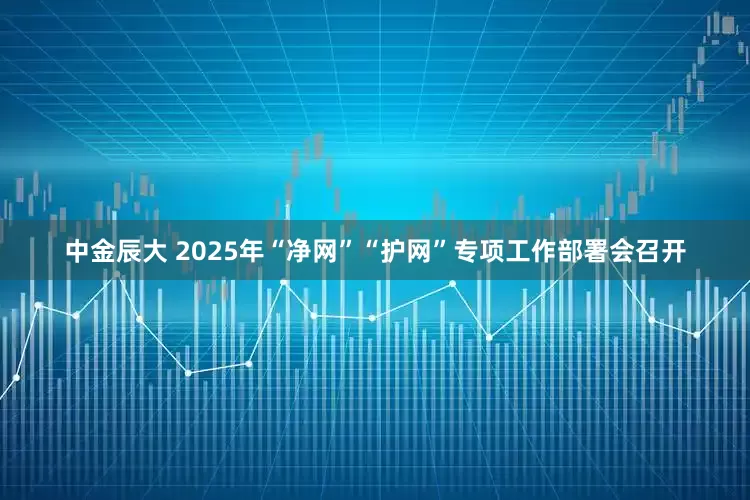 中金辰大 2025年“净网”“护网”专项工作部署会召开