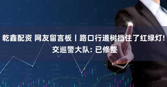 乾鑫配资 网友留言板丨路口行道树挡住了红绿灯! 交巡警大队: 已修整