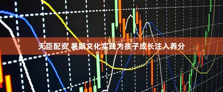 天臣配资 暑期文化实践为孩子成长注入养分