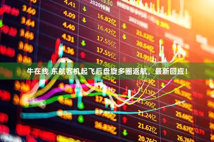 牛在线 东航客机起飞后盘旋多圈返航，最新回应！
